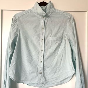 Mint green Theory button down